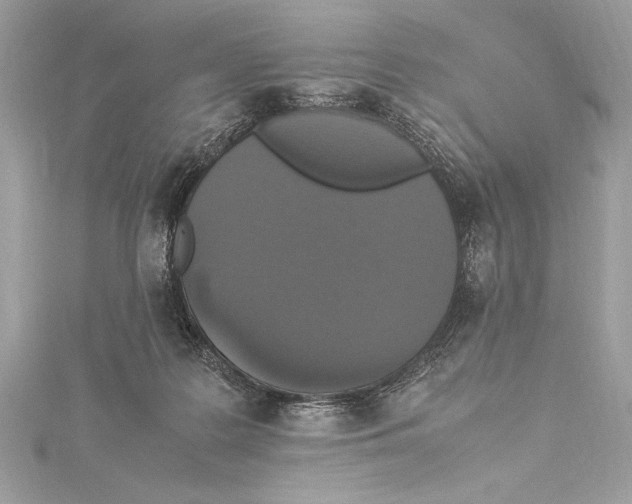 X0000115350219200912011059