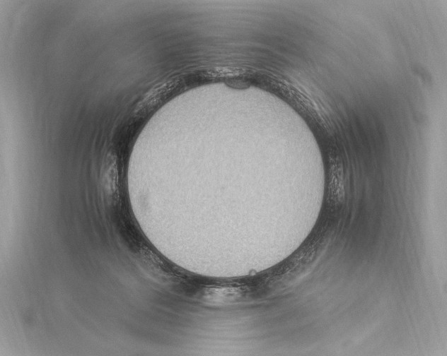 X0000115350220200912011059