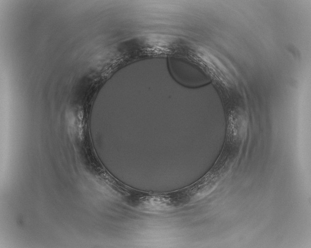 X0000115350223200912011059