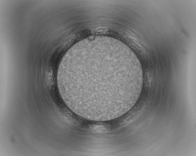 X0000115350224200912011059