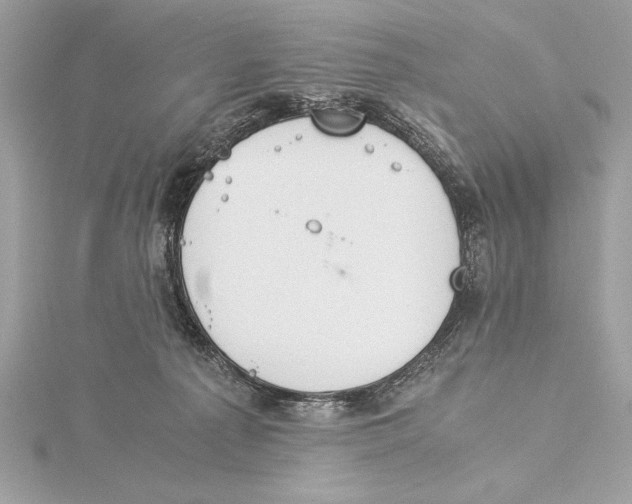 X0000115350225200912011059