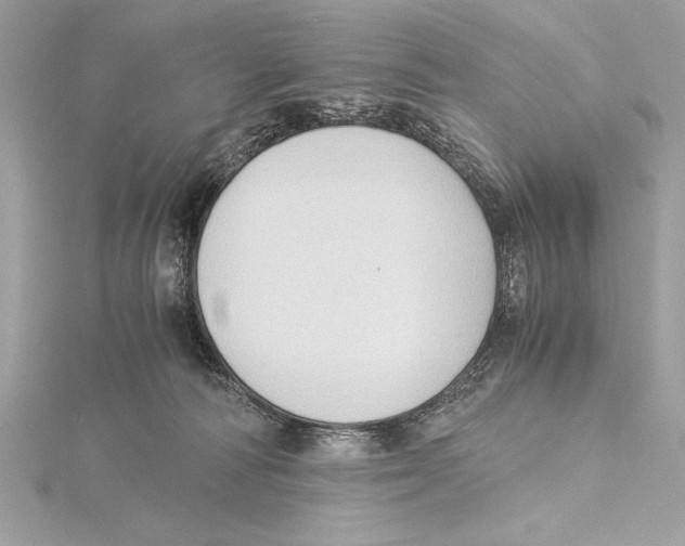 X0000115350226200912011059