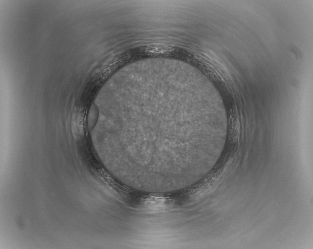 X0000115350227200912011059