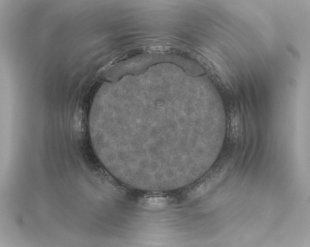 X0000115350228200912011059