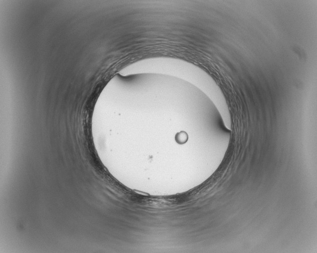 X0000115350229200912011059