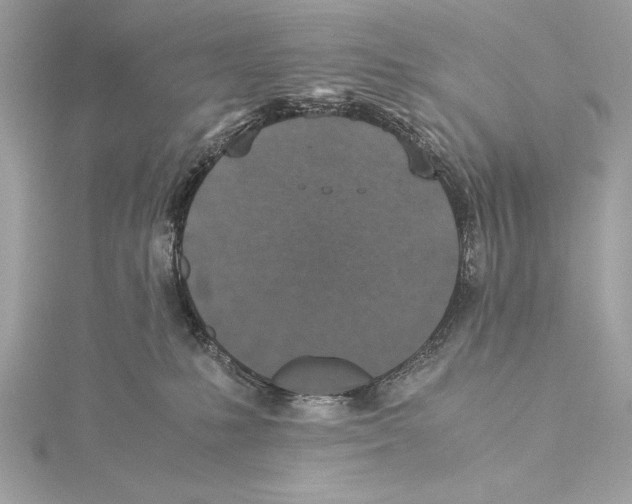 X0000115350231200912011059