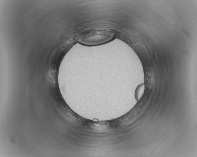 X0000115350232200912011059