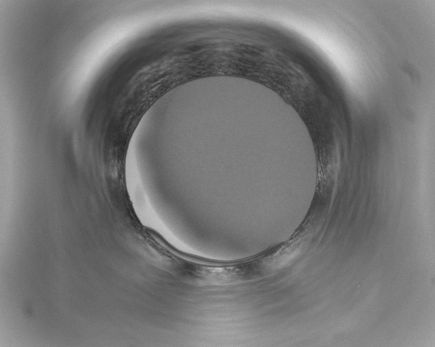 X0000115350239200912011058