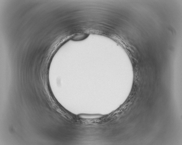 X0000115350241200912011058