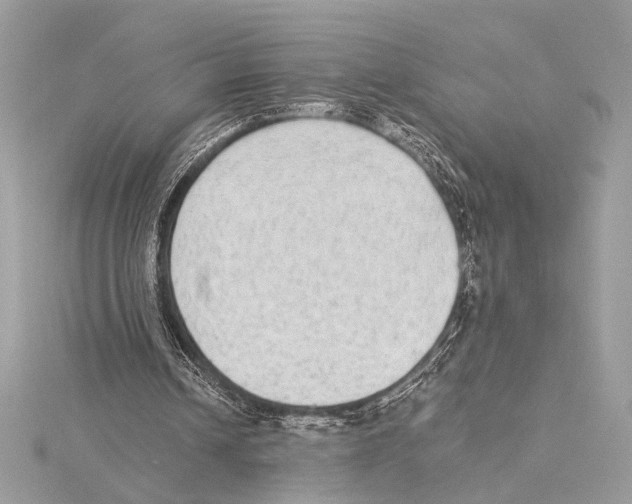 X0000115350242200912011058