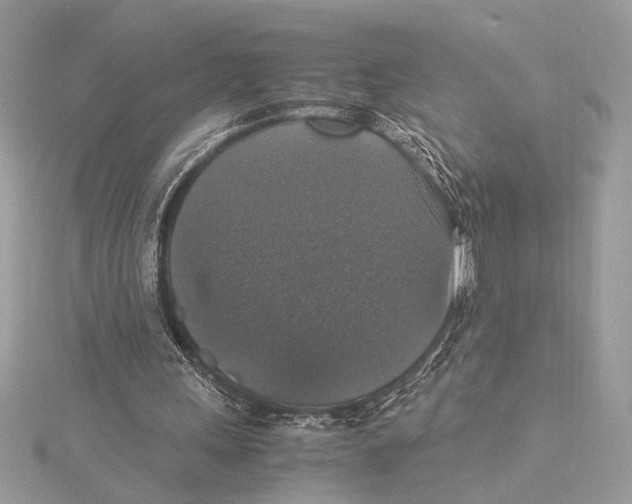 X0000115350243200912011058