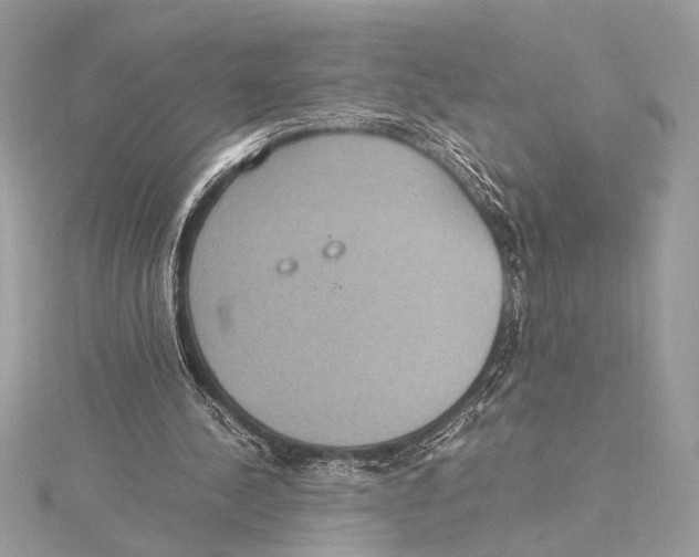 X0000115350244200912011058