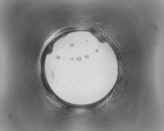 X0000115350246200912011058