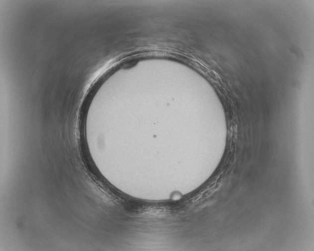 X0000115350248200912011058