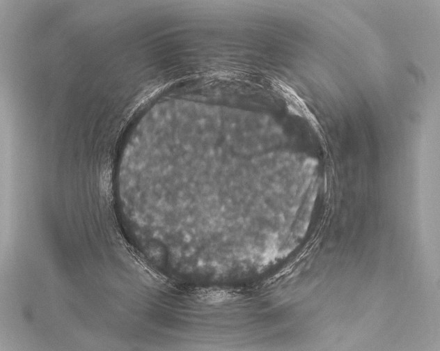 X0000115350249200912011058