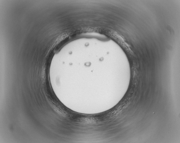 X0000115350250200912011058