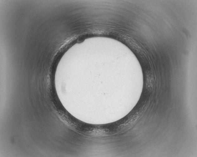 X0000115350256200912011058