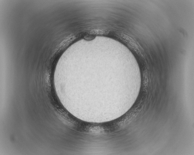 X0000115350258200912011058