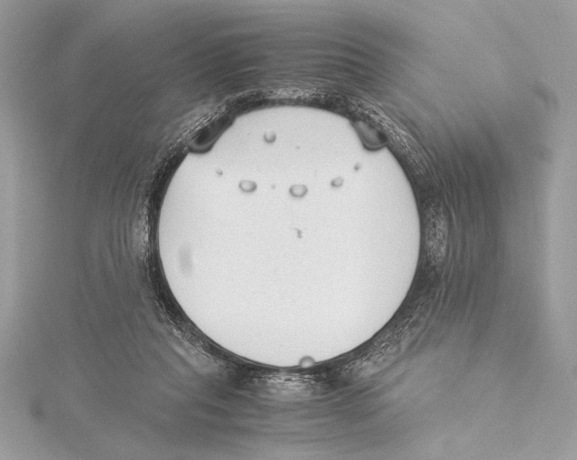 X0000115350261200912011058