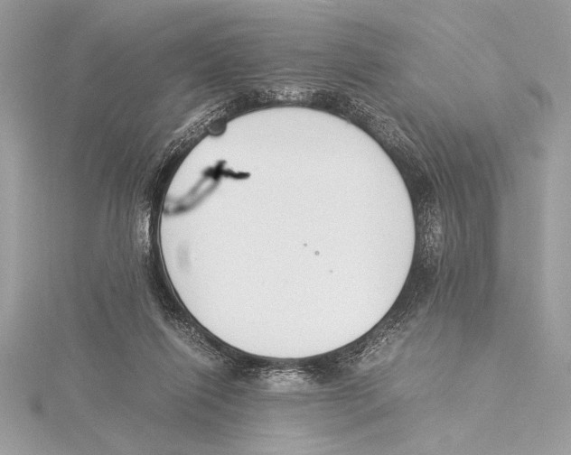 X0000115350262200912011058