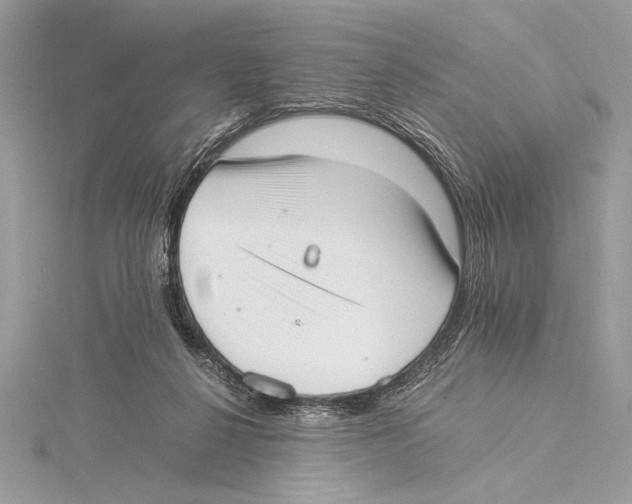 X0000115350264200912011058