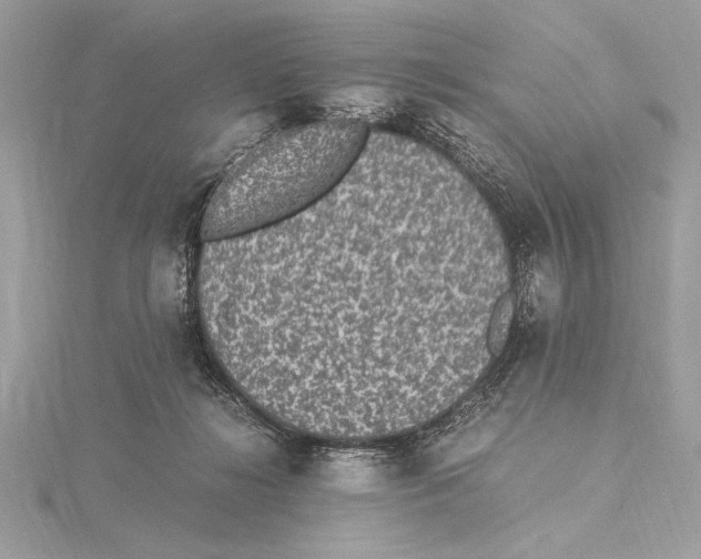 X0000115350268200912011058