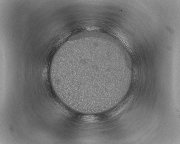 X0000115350269200912011058