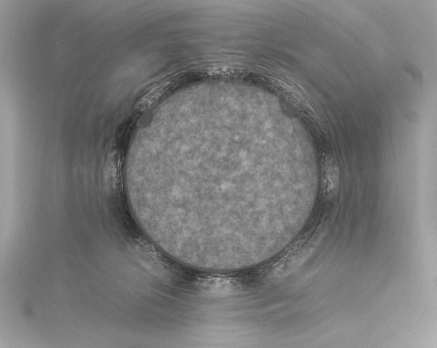 X0000115350276200912011058