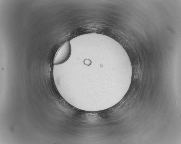 X0000115350279200912011058