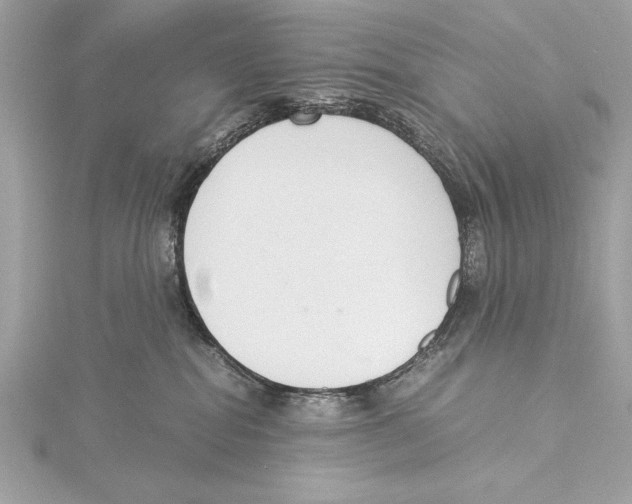 X0000115350282200912011058