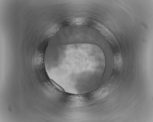 X0000115350284200912011058