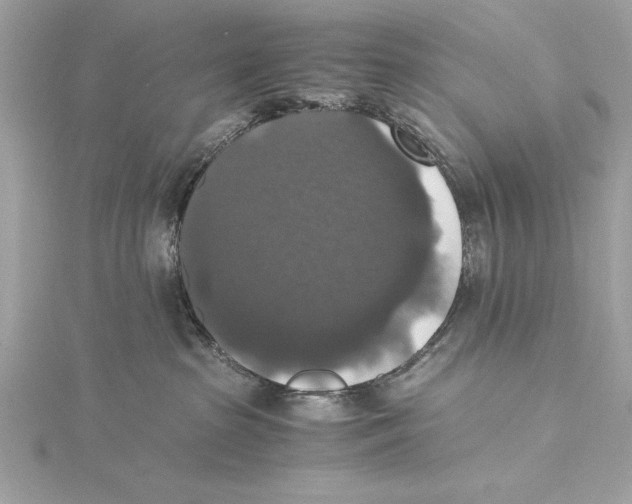 X0000115350285200912011058