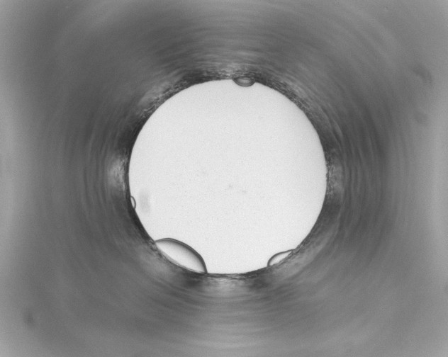 X0000115350286200912011058