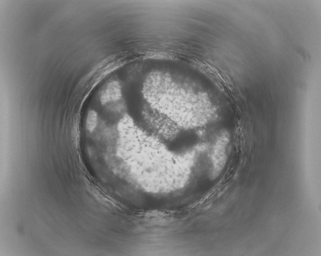 X0000115350290200912011058