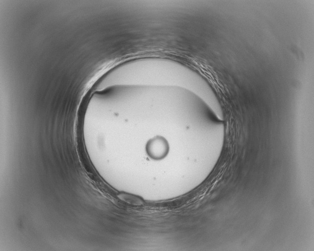 X0000115350292200912011058