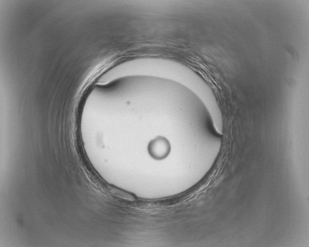 X0000115350293200912011058