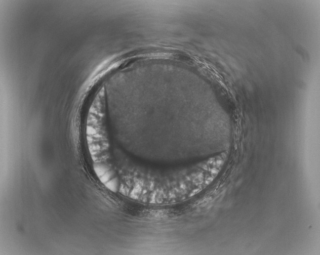 X0000115350295200912011058