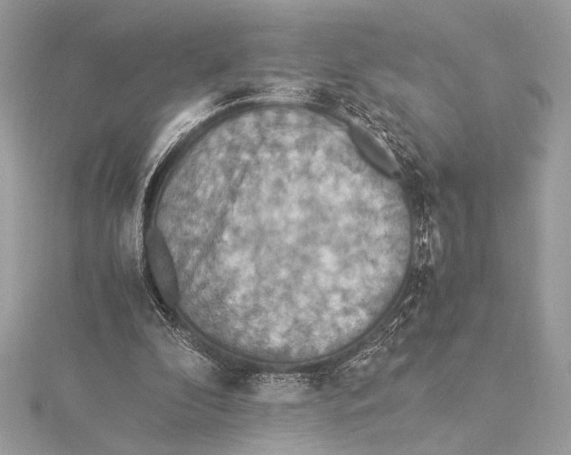 X0000115350296200912011058