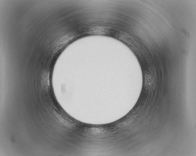 X0000115350302200912011057