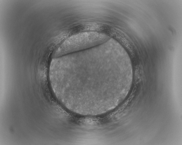 X0000115350305200912011057