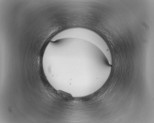 X0000115350308200912011057