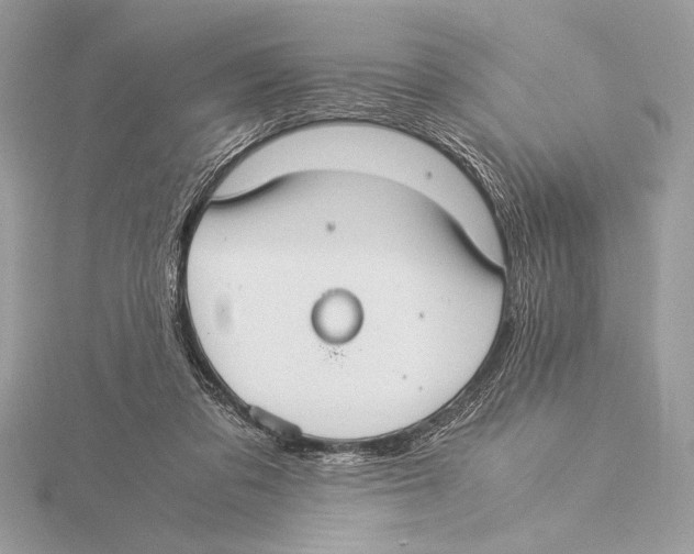 X0000115350309200912011057