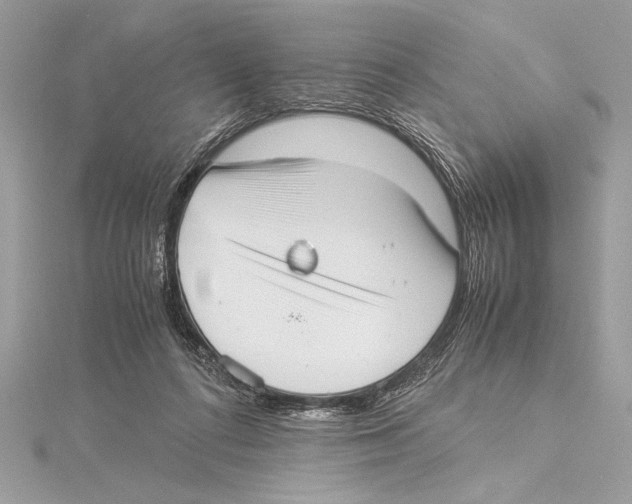 X0000115350312200912011057