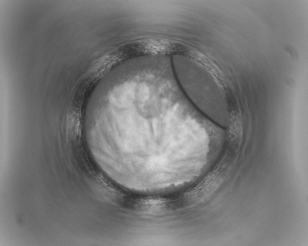 X0000115350313200912011057