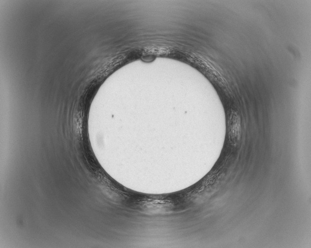 X0000115350315200912011057