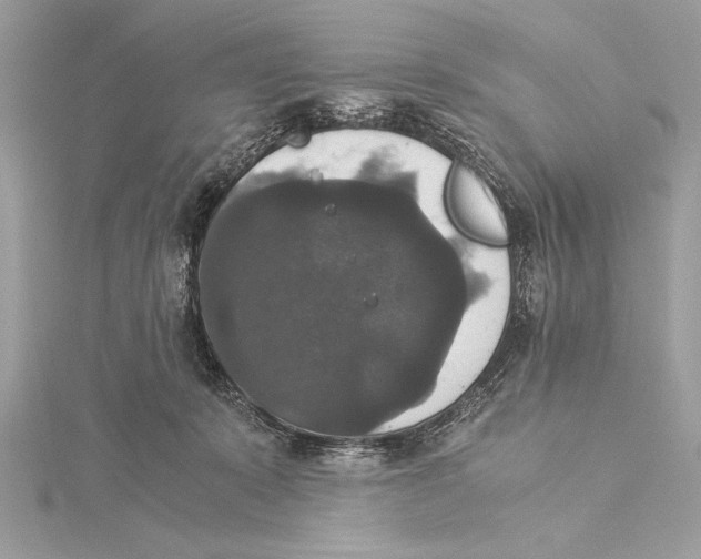 X0000115350319200912011057