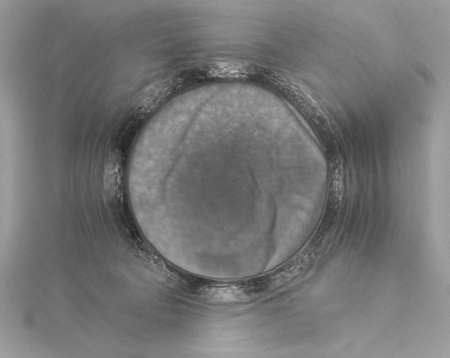 X0000115350322200912011057