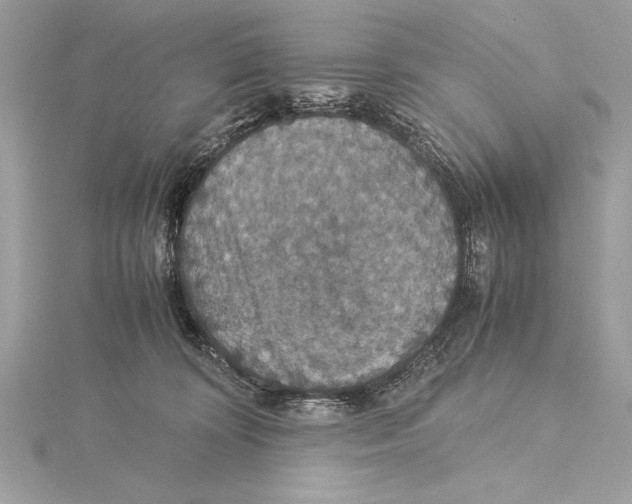 X0000115350324200912011057