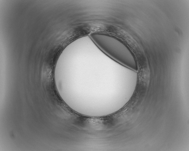 X0000115350327200912011057