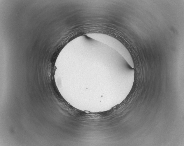 X0000115350328200912011057